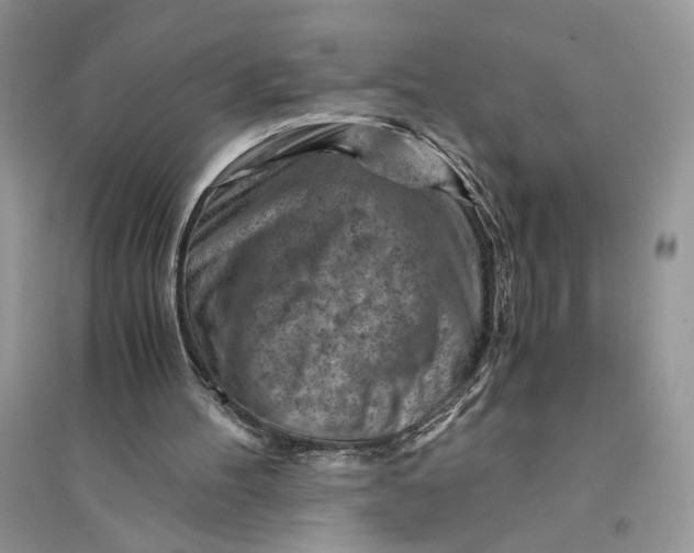 X0000094450100200711291708