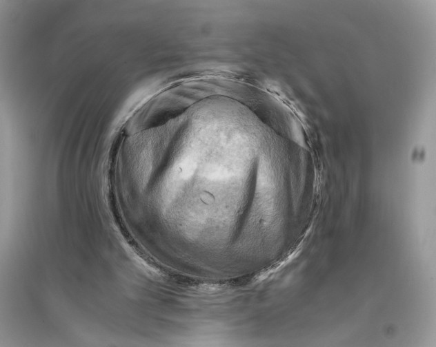 X0000094450101200711291708