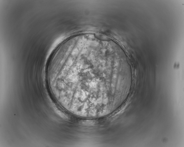 X0000094450102200711291708