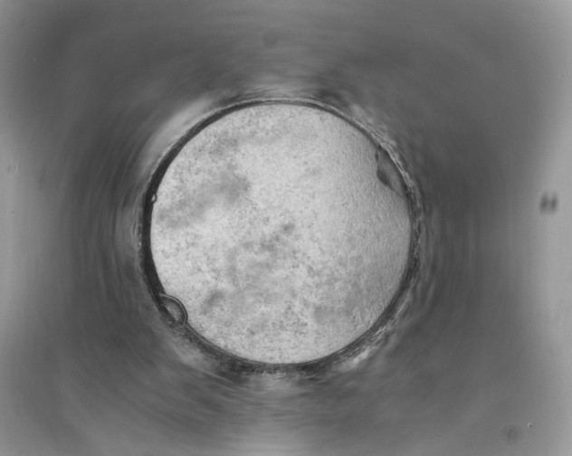 X0000094450103200711291708