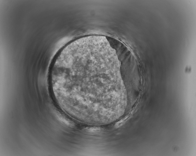 X0000094450104200711291708