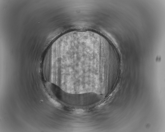 X0000094450105200711291708