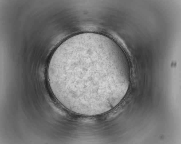 X0000094450106200711291708