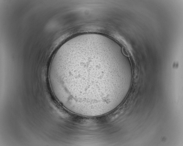 X0000094450107200711291708