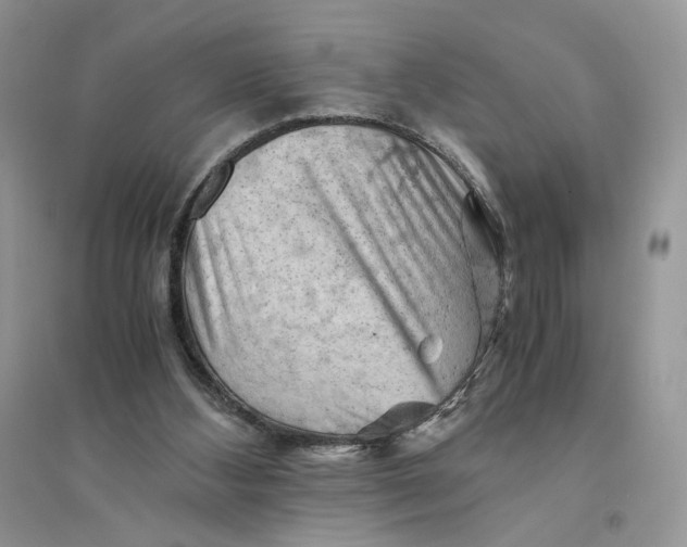 X0000094450108200711291708