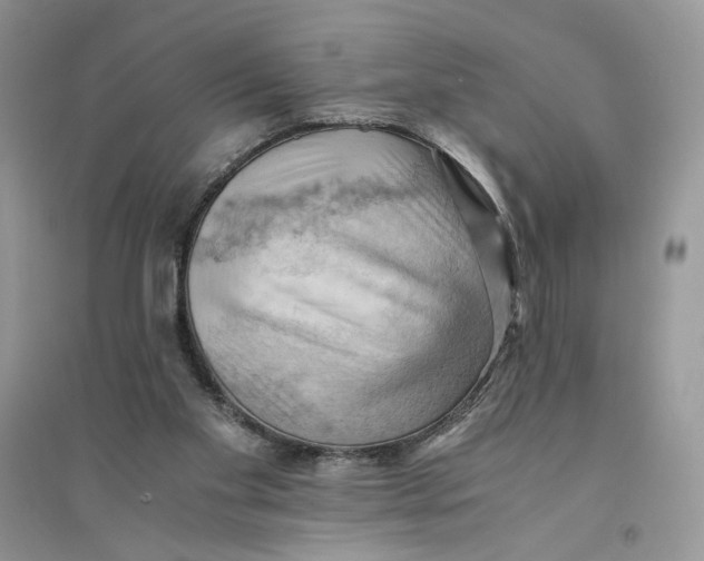 X0000094450109200711291708