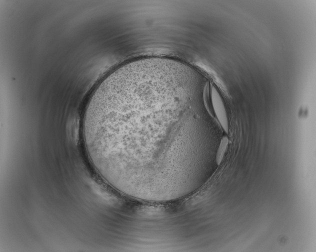 X0000094450110200711291708