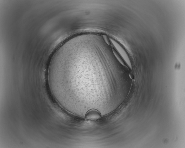 X0000094450111200711291708