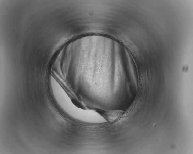 X0000094450112200711291708