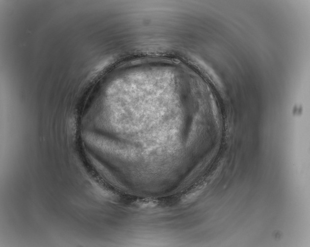 X0000094450113200711291708