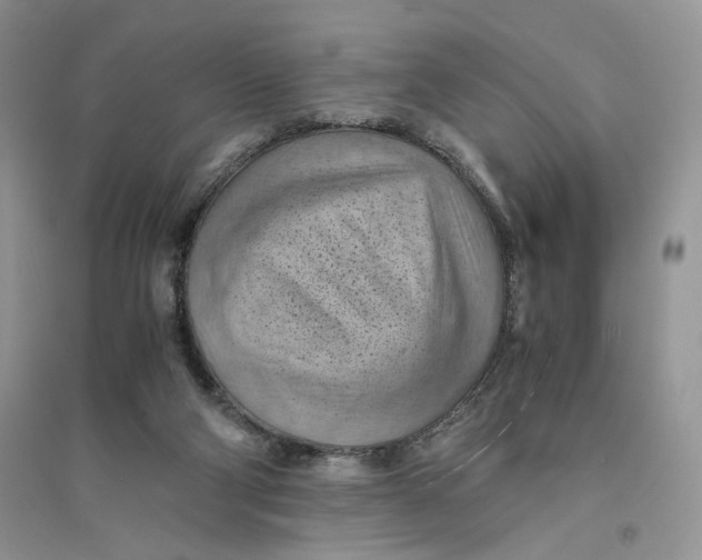 X0000094450114200711291708