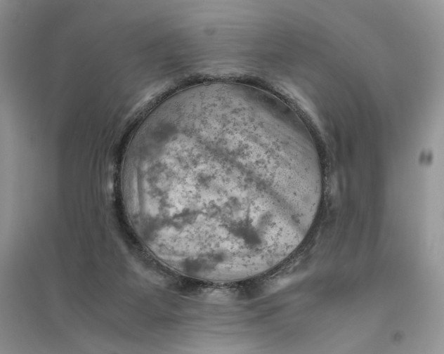 X0000094450115200711291708