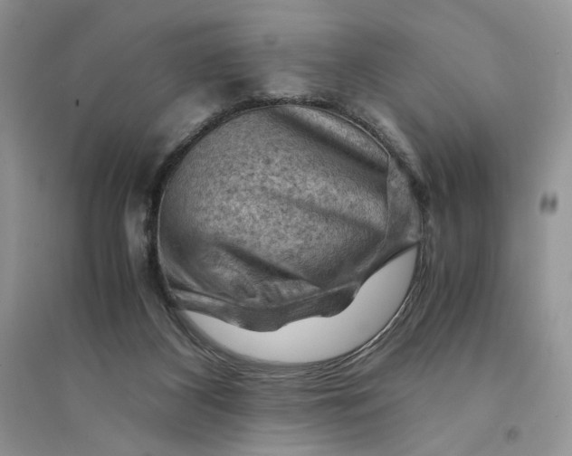 X0000094450116200711291708