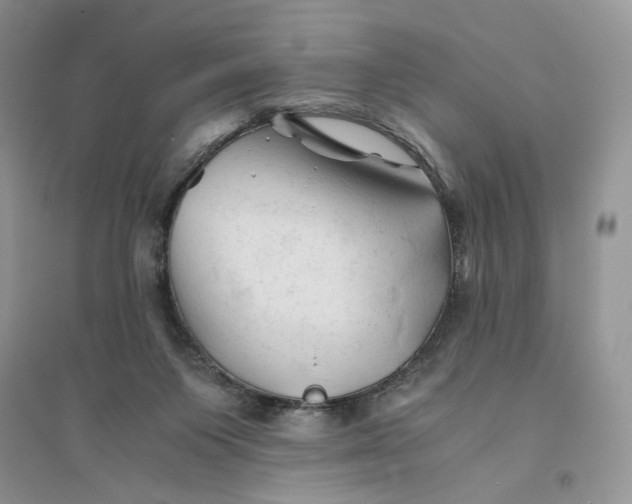 X0000094450119200711291708