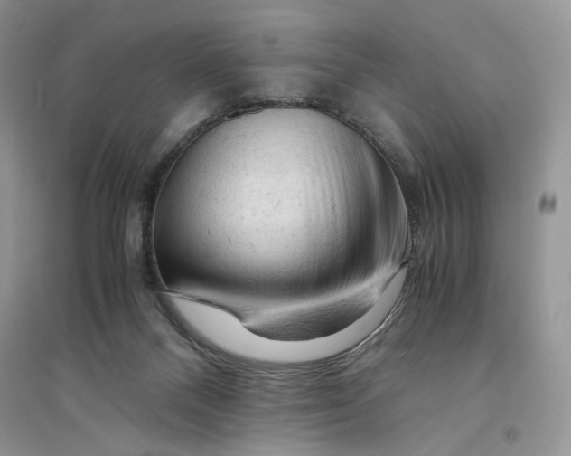 X0000094450120200711291708