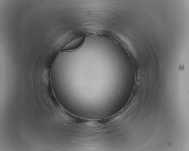 X0000094450121200711291708