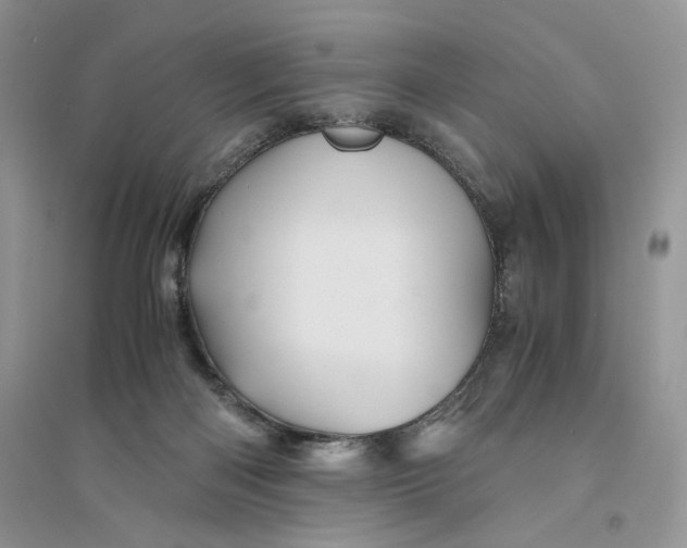 X0000094450122200711291708