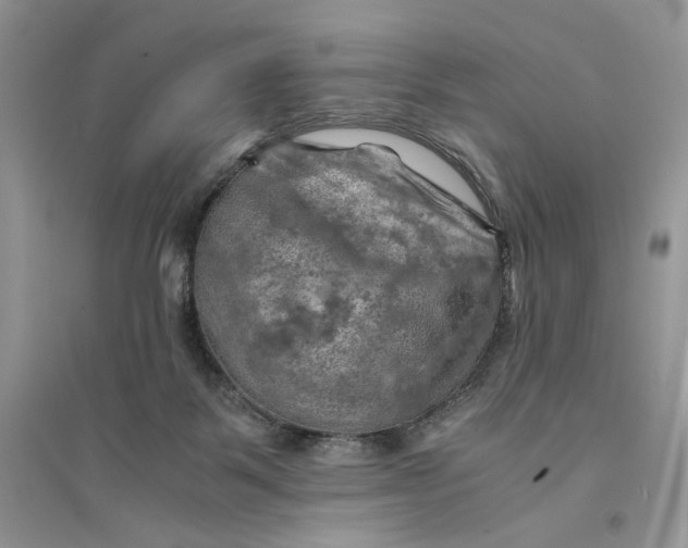 X0000094450123200711291708