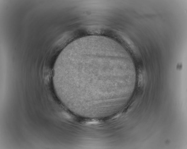 X0000094450125200711291708