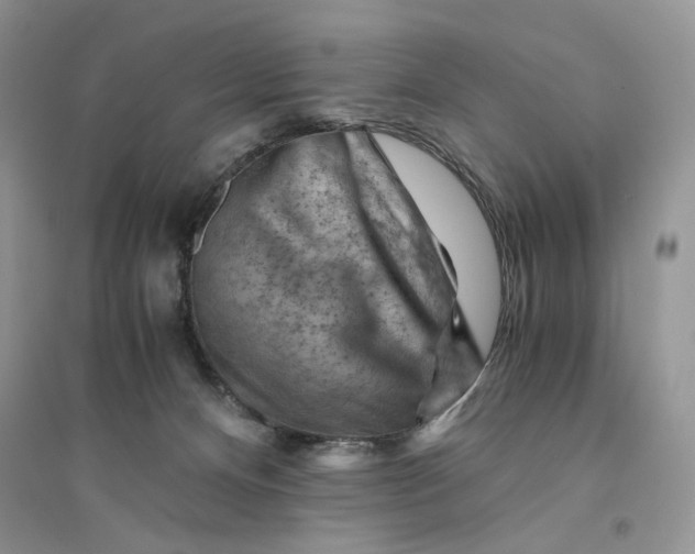 X0000094450128200711291708