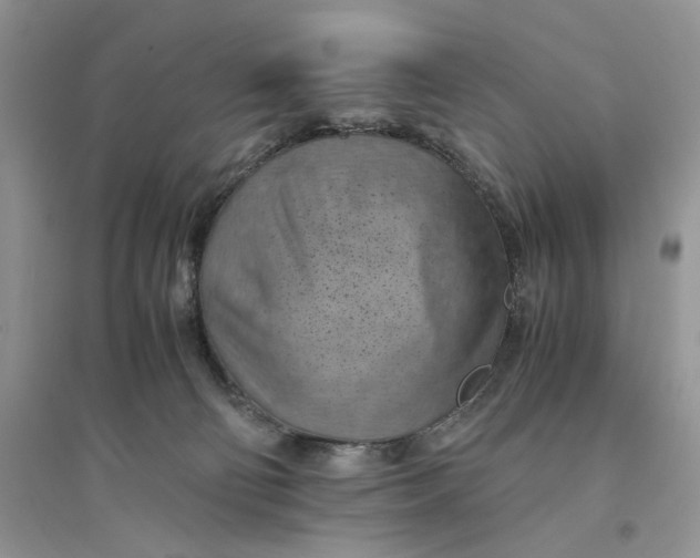 X0000094450130200711291708