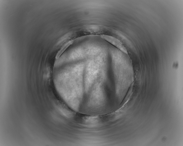 X0000094450132200711291708