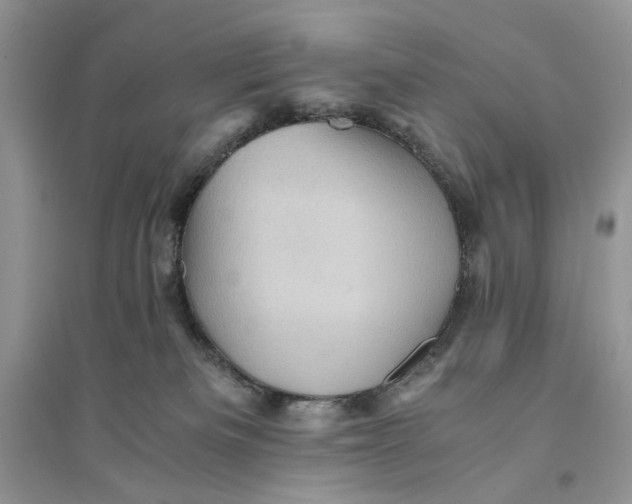 X0000094450133200711291708