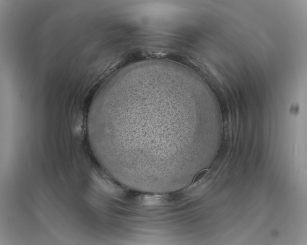 X0000094450134200711291708