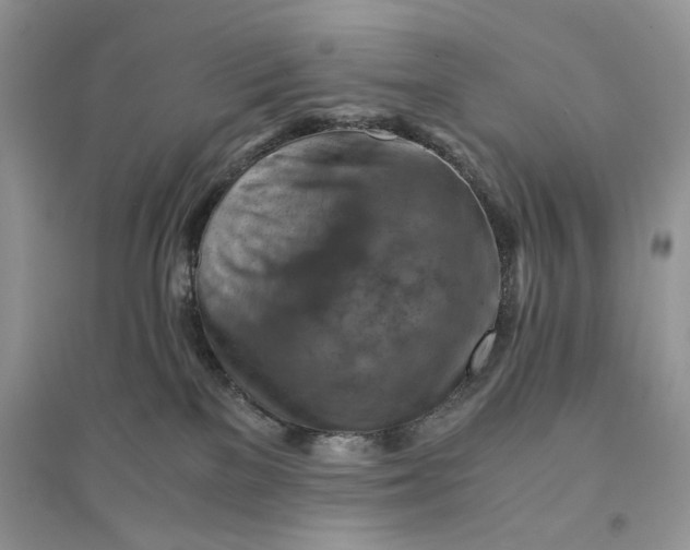 X0000094450137200711291708