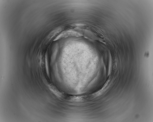 X0000094450140200711291708