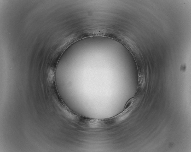 X0000094450142200711291708