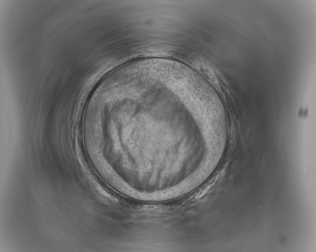 X0000094450145200711291707