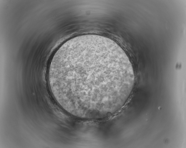 X0000094450146200711291707