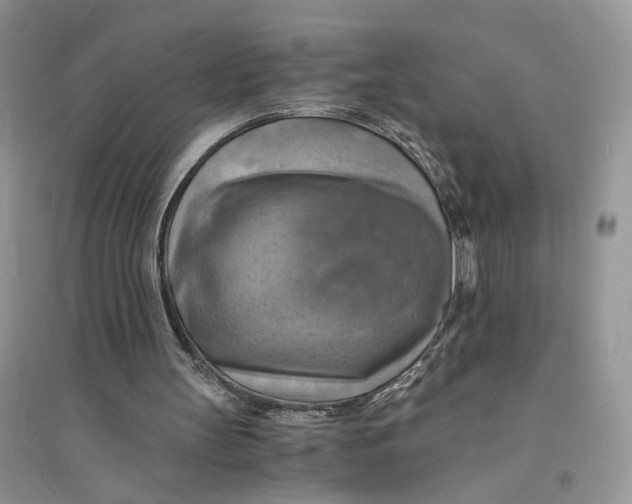 X0000094450147200711291707