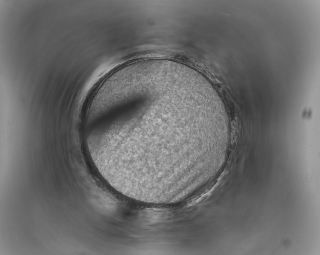 X0000094450150200711291707