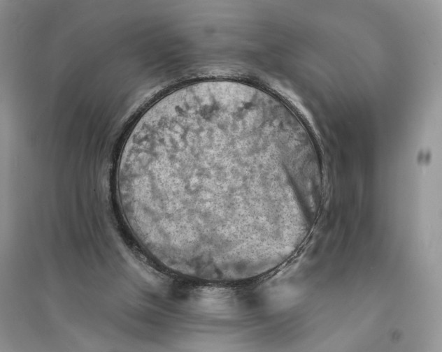 X0000094450154200711291707