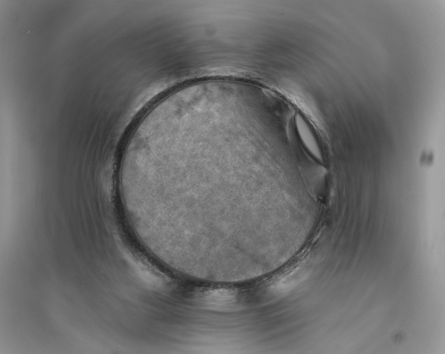 X0000094450156200711291707