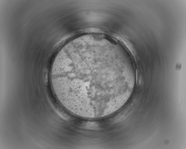 X0000094450157200711291707