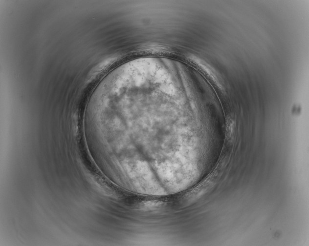 X0000094450158200711291707