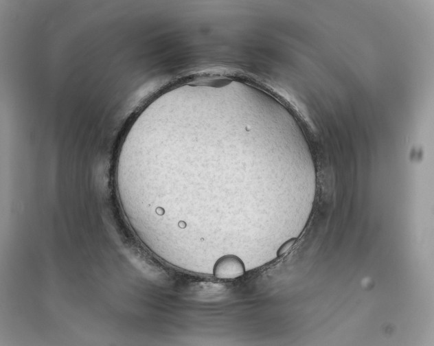 X0000094450159200711291707