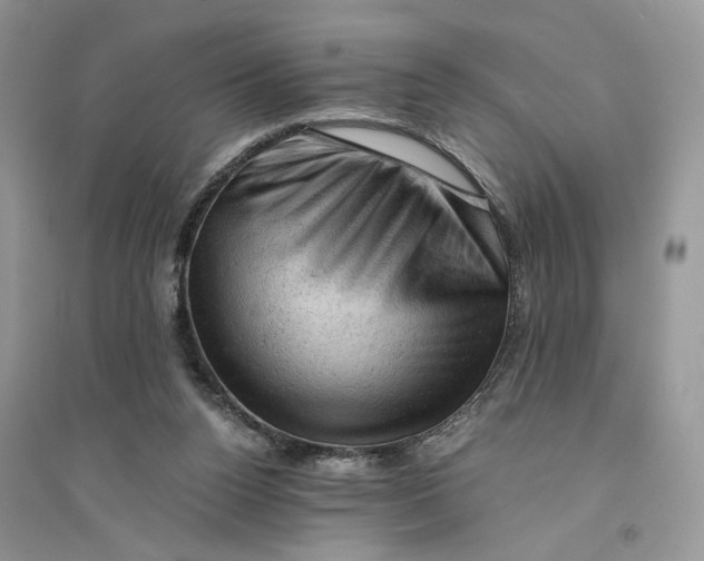 X0000094450160200711291707