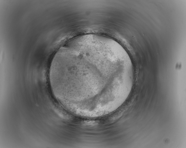 X0000094450161200711291707