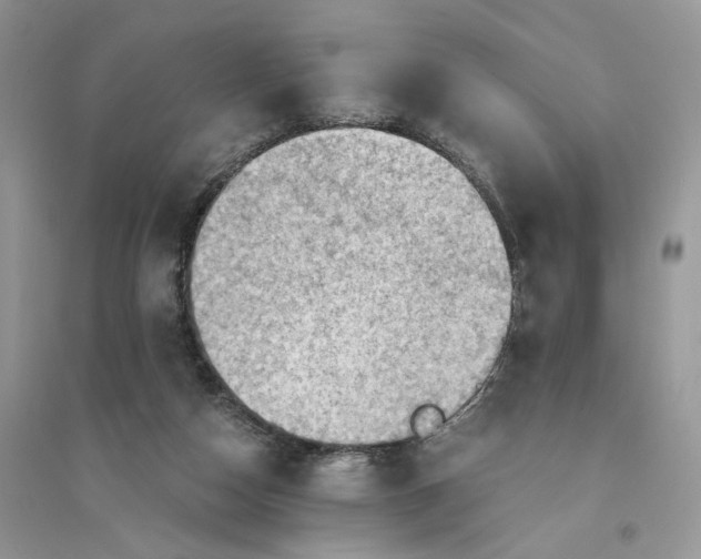 X0000094450162200711291707