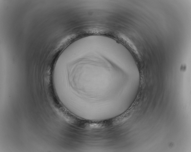 X0000094450163200711291707