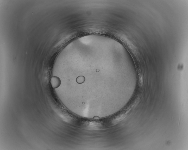 X0000094450165200711291707