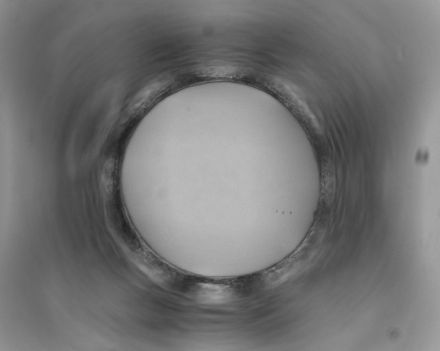 X0000094450167200711291707