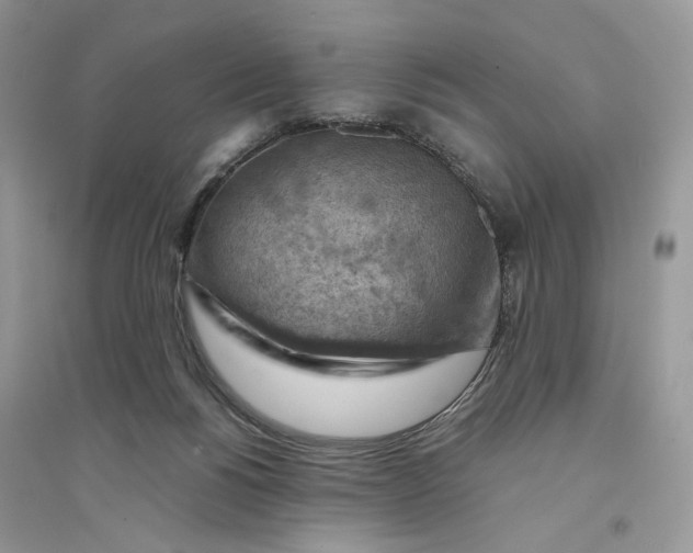 X0000094450168200711291707