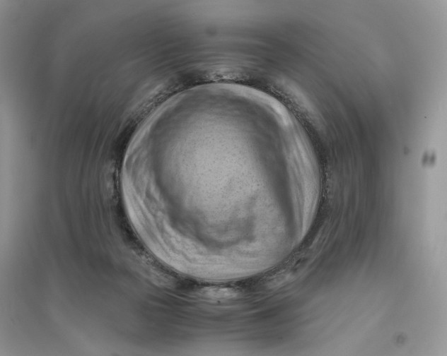 X0000094450169200711291707