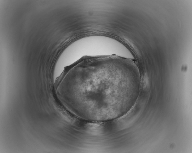 X0000094450170200711291707