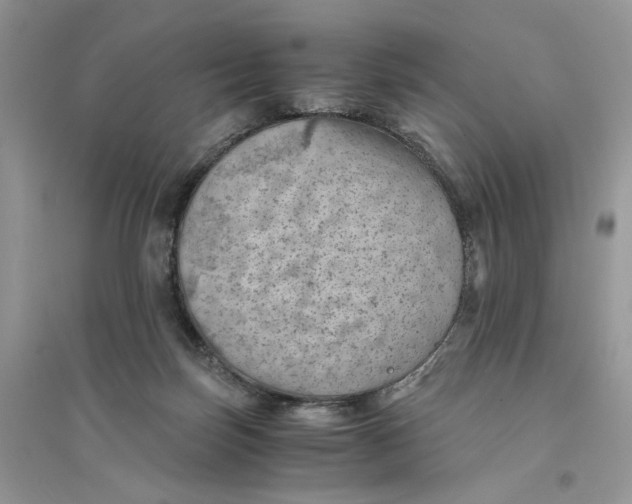 X0000094450171200711291707